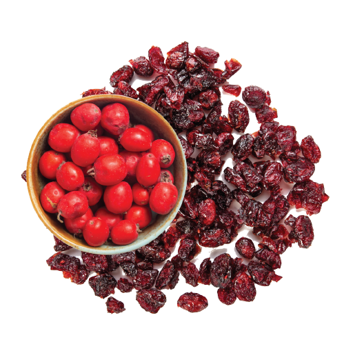 Pure Dried Cranberries